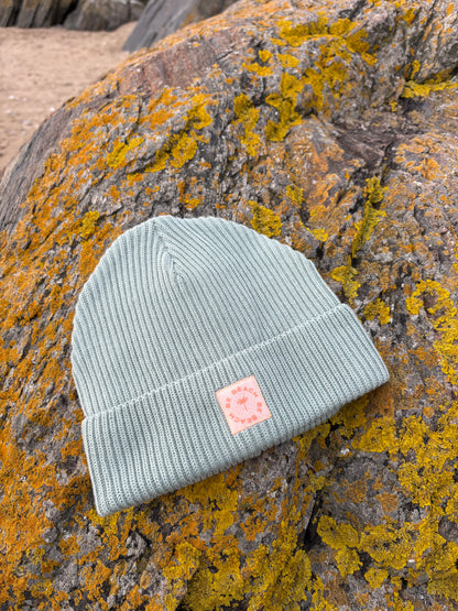 Bonnet