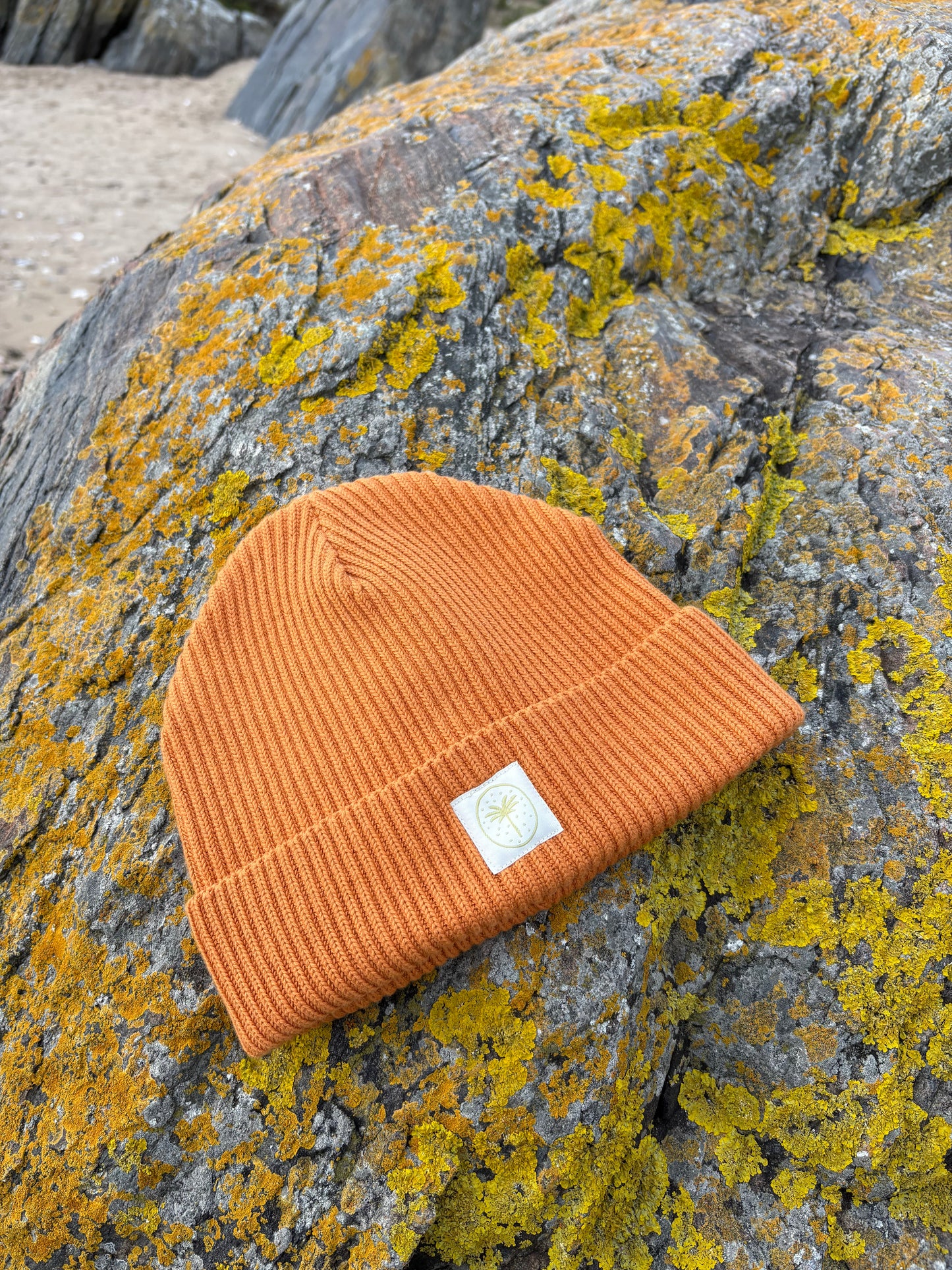 Bonnet